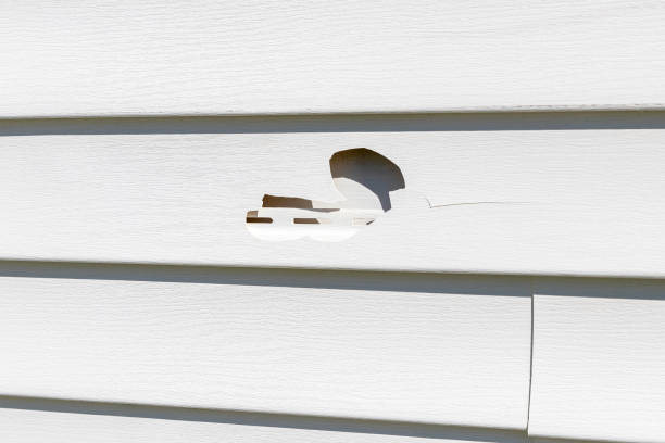 Best Storm Damage Siding Repair  in Katonah, NY